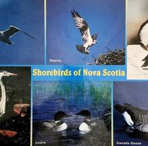 Shorebirds Of Nova Scotia Placemat Vintage Nautical Map Theme Reversible... - $27.50