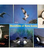 Shorebirds Of Nova Scotia Placemat Vintage Nautical Map Theme Reversible... - $505.11 MXN