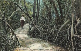 Palm Beach Florida Fl~Bambo TWISTER-YOUNG Black MAN-JUNGLE ROAD~1910s Postcard - £10.51 GBP