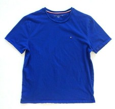 Tommy Hilfiger Men&#39;s Basic T-Shirt M Medium (Tag Says Size Large)  Blue - £11.43 GBP