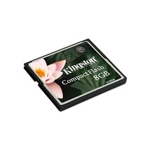 Kingston 8 GB Compact Flash Memory Card  - $165.00