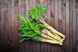 2 Organic Horseradish Crowns / Roots / Plants - Easy To Grow - Hottest - Vigorou - £18.70 GBP