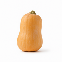 25 Honeynut Squash Seeds, Sweet Mini Winter Squash, Heirloom Garden Vege... - €11,11 EUR