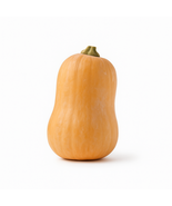 25 Honeynut Squash Seeds, Sweet Mini Winter Squash, Heirloom Garden Vege... - $12.99