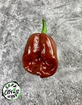 US Seller Chocolate Habanero Pepper Seeds 10 New Fresh Seeds - £8.18 GBP