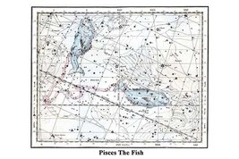 Pisces the Fish 20 x 30 Poster - £20.65 GBP
