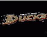 dp Anaheim ducks  NHL Hockey Logo Poster Print 12x8in Metal Sign - $24.74
