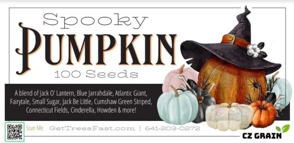 Spooky Blend Pumpkin Seeds For Planting (100 Mixed Seeds) Usa Seller - £15.88 GBP