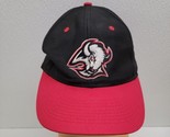 Vintage 90s Buffalo Sabres Hockey Logo Athletic SnapBack Hat Cap NHL Bla... - $49.40