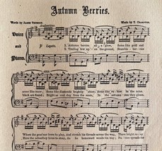Autumn Berries Sheet Music 1892 Victorian Voice And Piano Ephemera DWY10A - €21,60 EUR