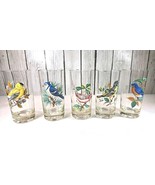 West Virginia Glass American Songbird Gold Rim Tumblers Set of 5 5.5” Ma... - $49.49