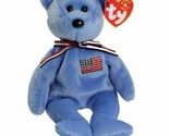 Ty Beanie Baby America 9th Generation Hang Tag 2001 MWMT - $7.91