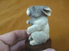 bun-6 white gray Bunny Rabbit hare of shed ANTLER figurine Bali detailed carving - £75.66 GBP