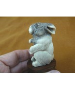 bun-6 white gray Bunny Rabbit hare of shed ANTLER figurine Bali detailed... - £74.04 GBP