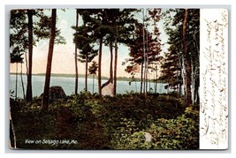 View on Sabago River Saco Maine ME UDB Postcard Y7 - £2.18 GBP