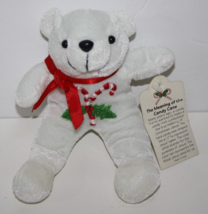 Oriental Trading Teddy Bear 7&quot; White Plush Jesus Candy Cane Soft Toy Stu... - $11.95