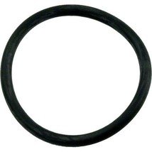 Pentair Sta-Rite 35505-1318 O-Ring for Plastic Side Valve - $14.29