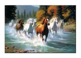 Majestic Horses in Nature-Stunning of Galloping Herd in Forest Stream Giclee - £7.58 GBP+
