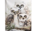 Midwest -CBK Julie Uleland  Canvas  Print  Baby Snow Owls  Frameless 12x... - $16.96