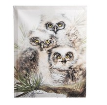 Midwest -CBK Julie Uleland  Canvas  Print  Baby Snow Owls  Frameless 12x... - £13.34 GBP
