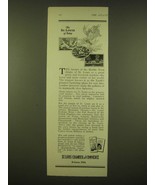 1924 St. Louis Chamber of Commerce Ad - The St. Louis of Today - £14.78 GBP