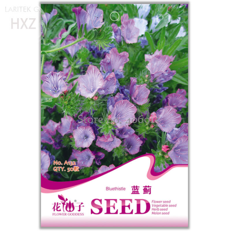 Blue Thistle Flower Seeds 50 Seeds Balcony Patio Potted Seasons Flower F... - $3.46