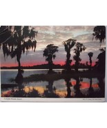 Vintage Colorful Florida Sunset Postcard - £2.35 GBP