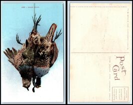Vintage Postcard - Valley Quail Bird N46 - $52.71 MXN