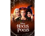 1993 Hocus Pocus Movie Poster 11X17 Winnie Sarah Mary Bette Midler  - $11.64