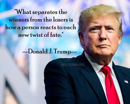 Donald Trump Quote Winners And Losers Photo In All Sizes - £7.11 GBP+