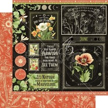 Life Is Abundant Double Sided Cardstock 12 X12 inch June inch(Pack of 15) - $47.49