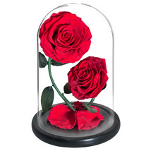 Natural Rosa Preservada Amor Eterno Dura Más De Un año Día De Las Madres - £67.94 GBP