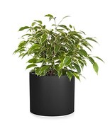 Fox &amp; Fern Planter Plant Pots Indoor Black Planters for Indoor Plants Fl... - $29.69