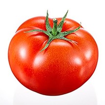 Best 50 Seeds Legend Tomato Hybrid Vegetable Garden Planting Tomatoe USA - $4.89