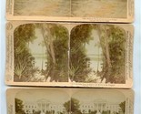 3 Hand Colored Underwood Stereoviews Jungle White House Glorious Work  - $11.88