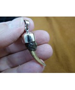 (g175-5) 1-1/4&quot; GATOR Alligator claw toe 925 SILVER CAPPED pendant JEWELRY - $618.73 MXN