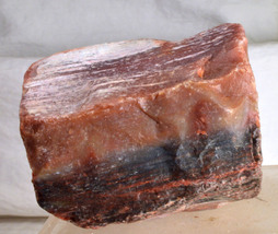 #5307 Agatized Petrified Wood - Holbrook Area, Arizona - £15.27 GBP