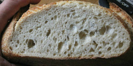ebays BEST AUTHENTIC SAN FRANCISCO SOURDOUGH STARTER bread yeast sally z - £7.07 GBP