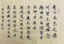 Chinese Calligraphy Hand Brush Painting 13.5”x19.5” Rice Paper 《少年游》 - $18.23
