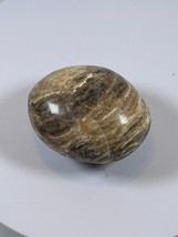 (#102) - BROWN ARAGONITE PALM STONE POLISHED - NEW - $281.36 MXN
