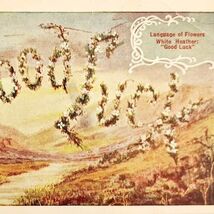 1900s Greeting Card Postcard Good Luck White Heather Flowers Ephemera E83C - $19.99