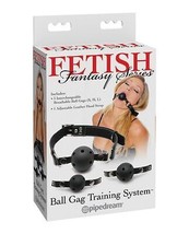 Fetish Fantasy Series Ball Gag Training Kit - £14.58 GBP