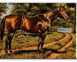 3 Horse Palomino Thoroughbread Double Thistle Champion Chrome Postcards Z8 - $7.87