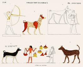 11398.Decor Poster.Home room Wall art.Egyptian Pharaoh treasures.Exotic animals - £12.94 GBP+
