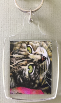 Small Cat Art Keychain - Lloyd` - $8.00
