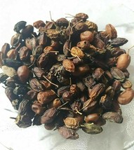 500 Gms Organic Dried Neem Fruit Seeds Nimboli Azadirachta Indica Free Ship - £19.25 GBP
