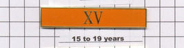 Sheriff&#39;s Dept 15-19 Year Longevity Bar (XV) Citation Bar - pin back - O... - $185.46 MXN