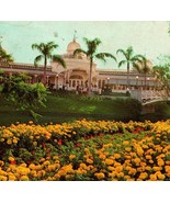 Vtg Chrome Postcard Walt Disney World 1970s Crystal Palace Restaurant  - £2.28 GBP