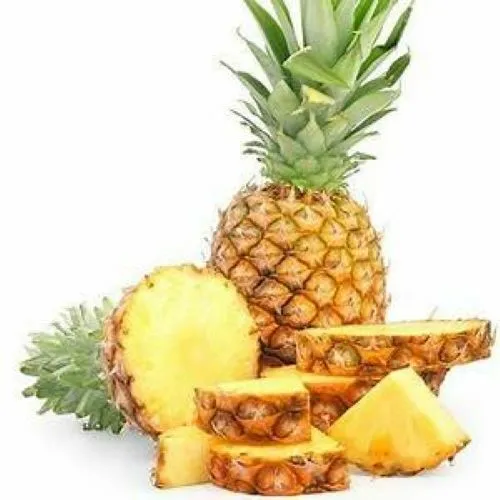 Live Pineapple Plant Elite Gold Ananas Comosus Edible Fruit Garden - £28.29 GBP