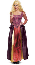 Disguise Disney Hocus Pocus Deluxe Sarah Adult Costume (NO WIG) Sz Large 12/14 - £38.76 GBP